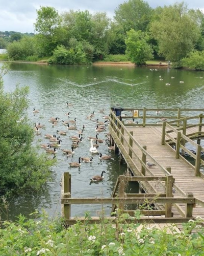 Daventry Country Park